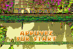 Screenshot from Tarzan - L'Appel de la Jungle (France)