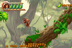 Screenshot from Tarzan - L'Appel de la Jungle (France)