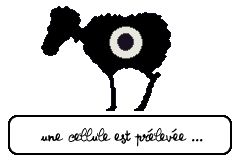Screenshot from Titeuf - Mega Compet (France)