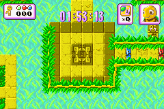 Screenshot from Turbo Turtle Adventure (USA)
