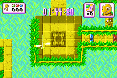 Screenshot from Turbo Turtle Adventure (USA)