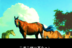 Screenshot from Winning Post for Game Boy Advance (Japan) (Rev 2)