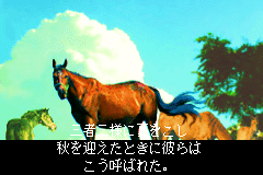 Screenshot from Winning Post for Game Boy Advance (Japan) (Rev 2)